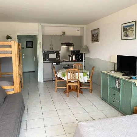 As20085 - Spacieux Avec Piscine Et Parking Commun Le Grau-du-Roi